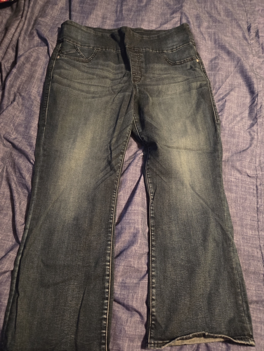 Rock & Republic Pull On Dark Blue Flare Jeans
